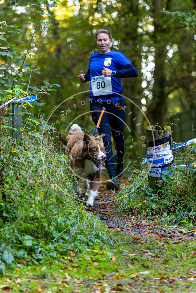 Pfotenfotografie_DV3A7510 | Hundefotografie, Tierfotograf, Pfotenfotografie, Fotoshooting Hund, Hunde Portrait, Hundesport, Hundeportraits, Heideshooting, Hunde, Sportfotograf, Hundefotograf, Turnierhundsport, THS,  - Realisiert mit Pictrs.com