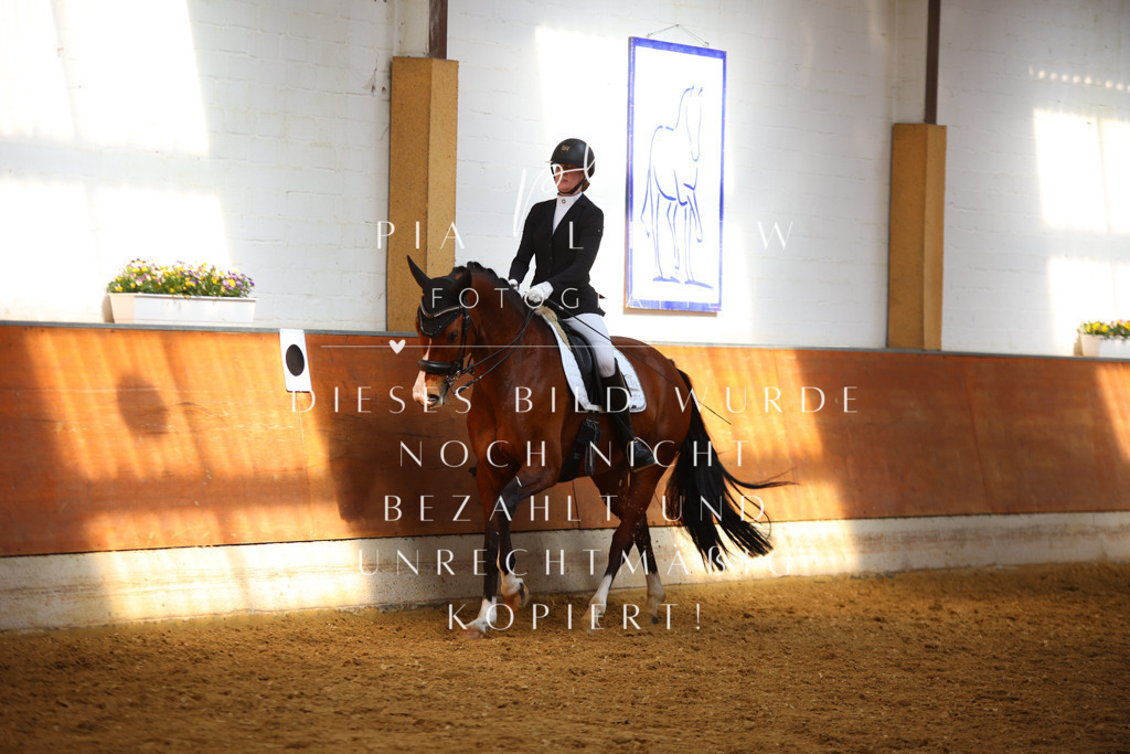 IMGT8596 | pl-fotografie