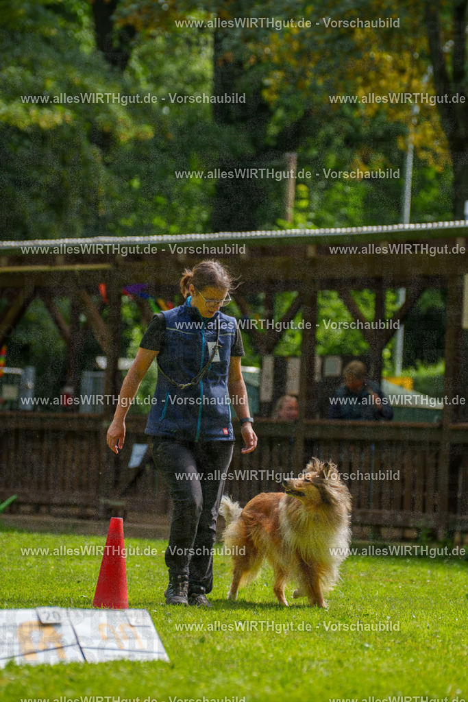 @allesWIRTHgut_Tierfotografie - www.allesWIRTHgut.de - 095543-7R507849 | Professionelle Tierfotografie in Mönchengladbach von Daniel Wirth (allesWIRTHgut). Liebevolle & natürliche Bilder von Hunden & Katzen für unvergessliche Erinnerungen.