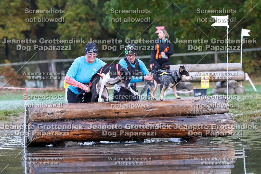 Dog Paparazzi - Strongdog 10-25-6247 | Dog Paparazzi Jeanette Grottendiek Fotografie & Videografie - Realisiert mit Pictrs.com