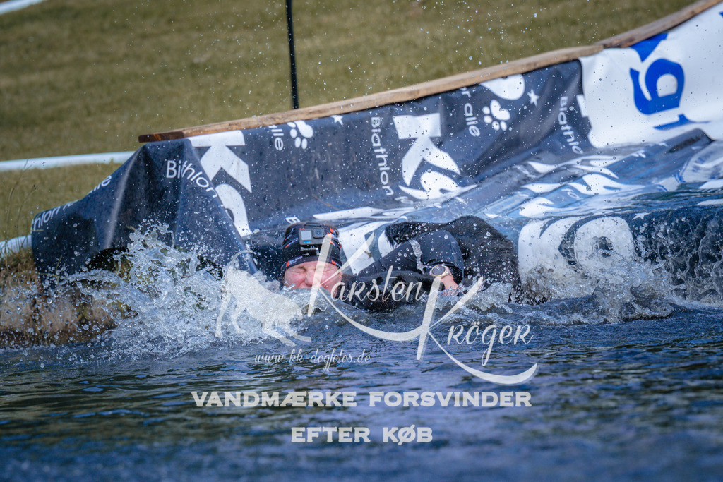 _ZZ972800742 | kk-dogfotos