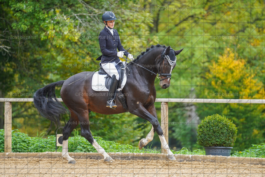 20221007-FAH09774 | Diessen am Ammersee, 2022, Dressur- und Springturnier, Reitsportbilder, Turnierfotografen Bayern, Pferdefotografen, Fotoagentur Herrmann, Turnierbilder