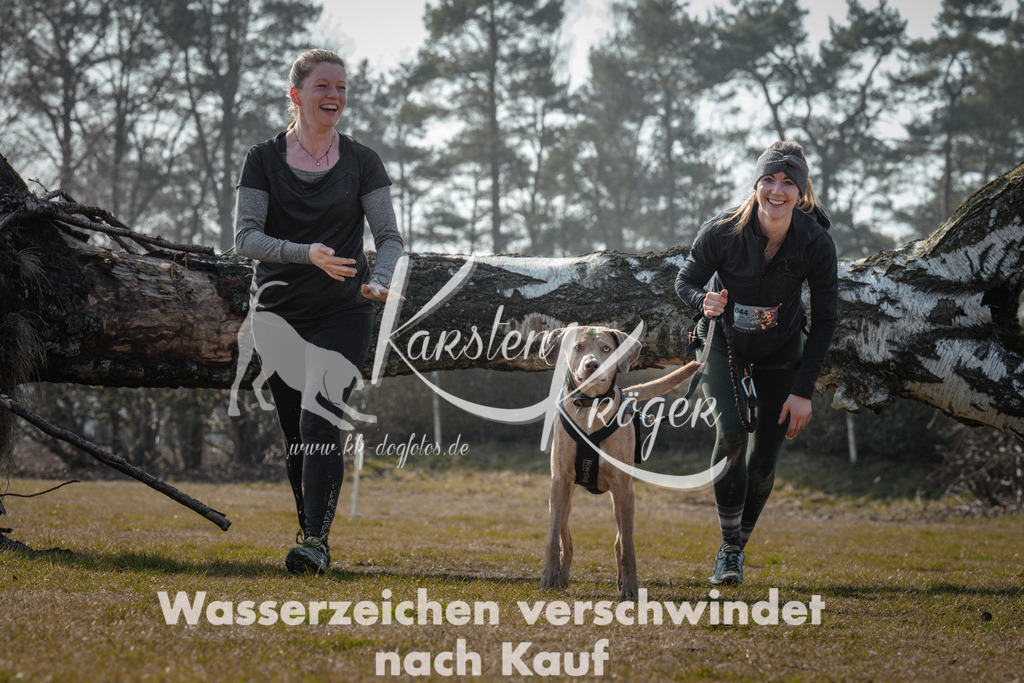 1106_ZZ94655 | kk-dogfotos