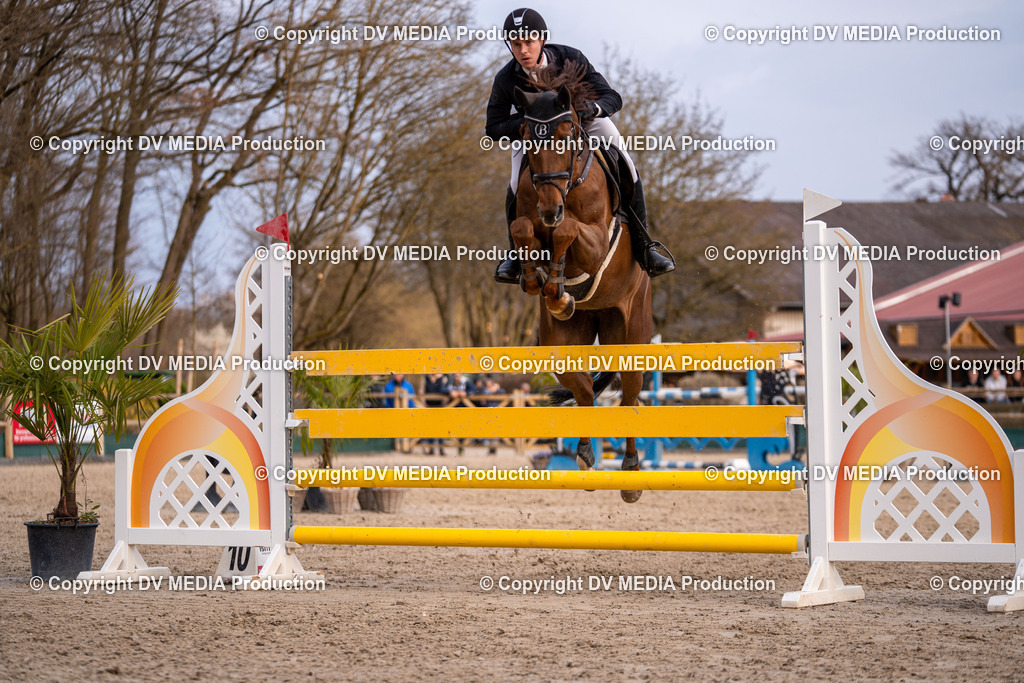 Kranichstein Tag 2-2248 | dv-media-shop - Realisiert mit Pictrs.com