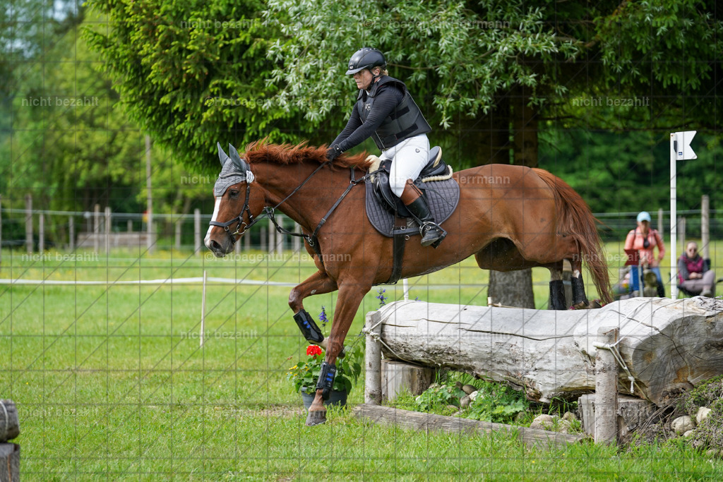 20240518-FAH03916 | Turnierbilder von Niederseon, Turnierfotografen Bayern, Fotoagentur Herrmann, Geländebilder, Reitsportfotografie