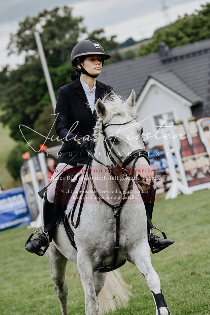 DSC_6776 | Pferde- und Turnierfotografie in Westsachsen. Pferdeportraits, Auftragszeichnungen und intuitive Kunst.