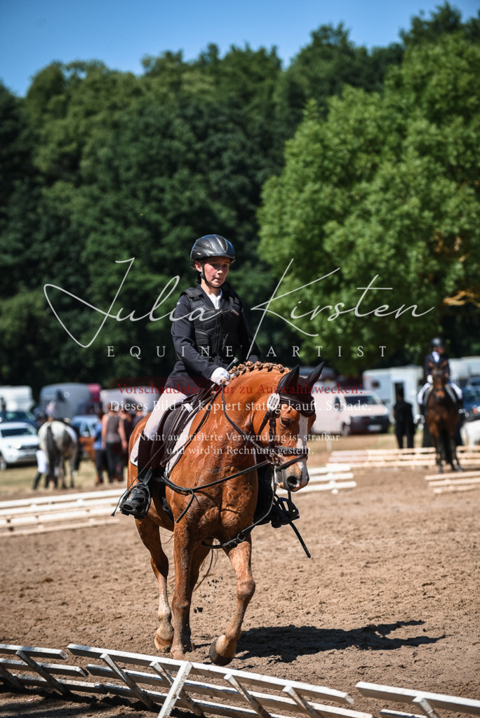 DSC_3256 | Pferde- und Turnierfotografie in Westsachsen. Pferdeportraits, Auftragszeichnungen und intuitive Kunst.