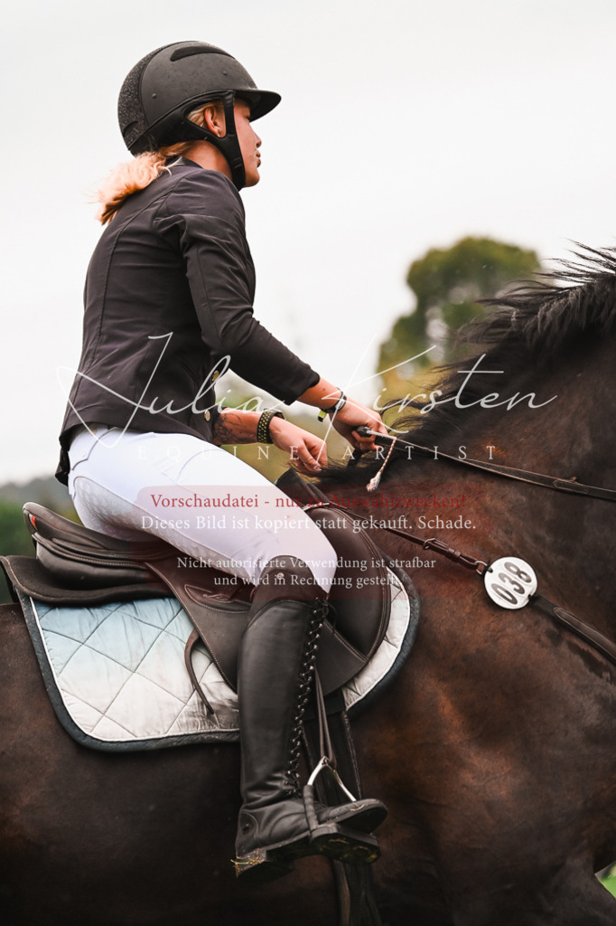 DSC_6305 | Pferde- und Turnierfotografie in Westsachsen. Pferdeportraits, Auftragszeichnungen und intuitive Kunst.