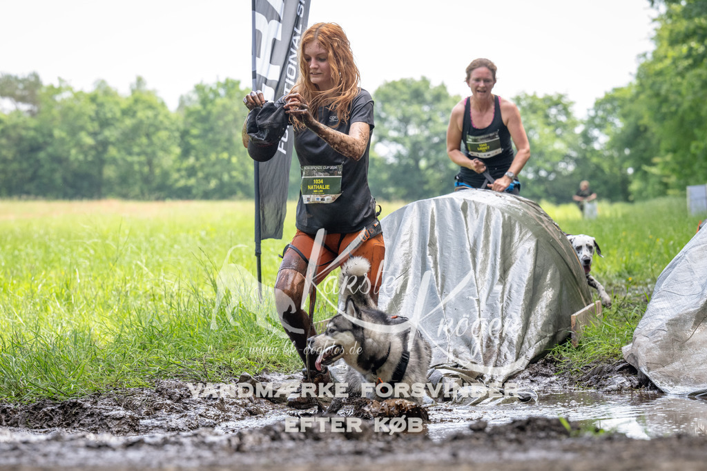 1138_ZZ93458 | kk-dogfotos