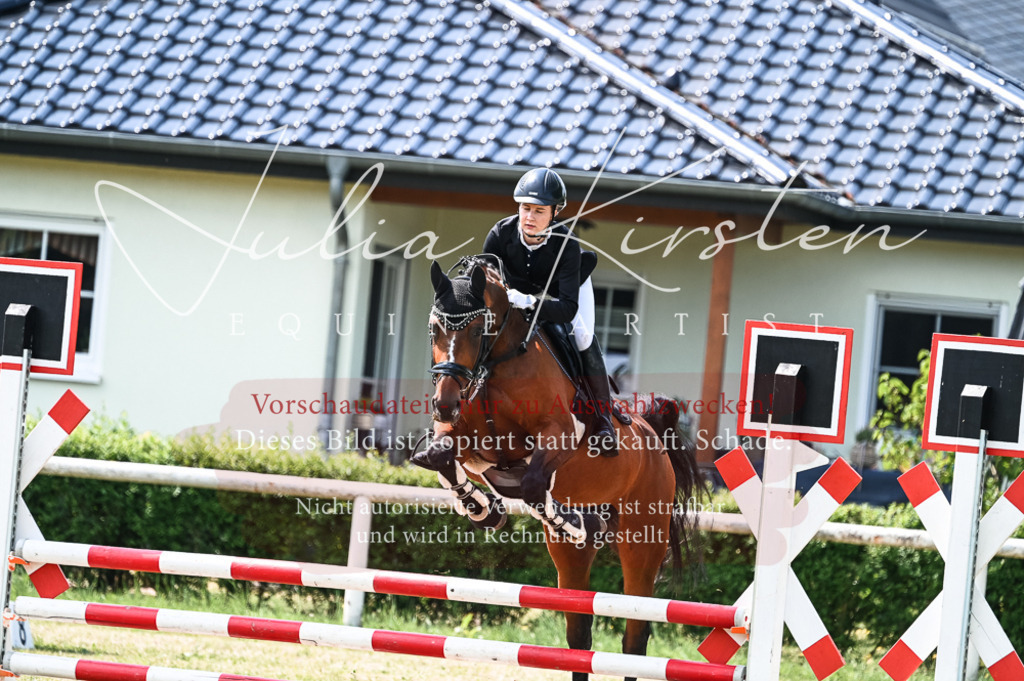 DSC_9425 | Pferde- und Turnierfotografie in Westsachsen. Pferdeportraits, Auftragszeichnungen und intuitive Kunst.
