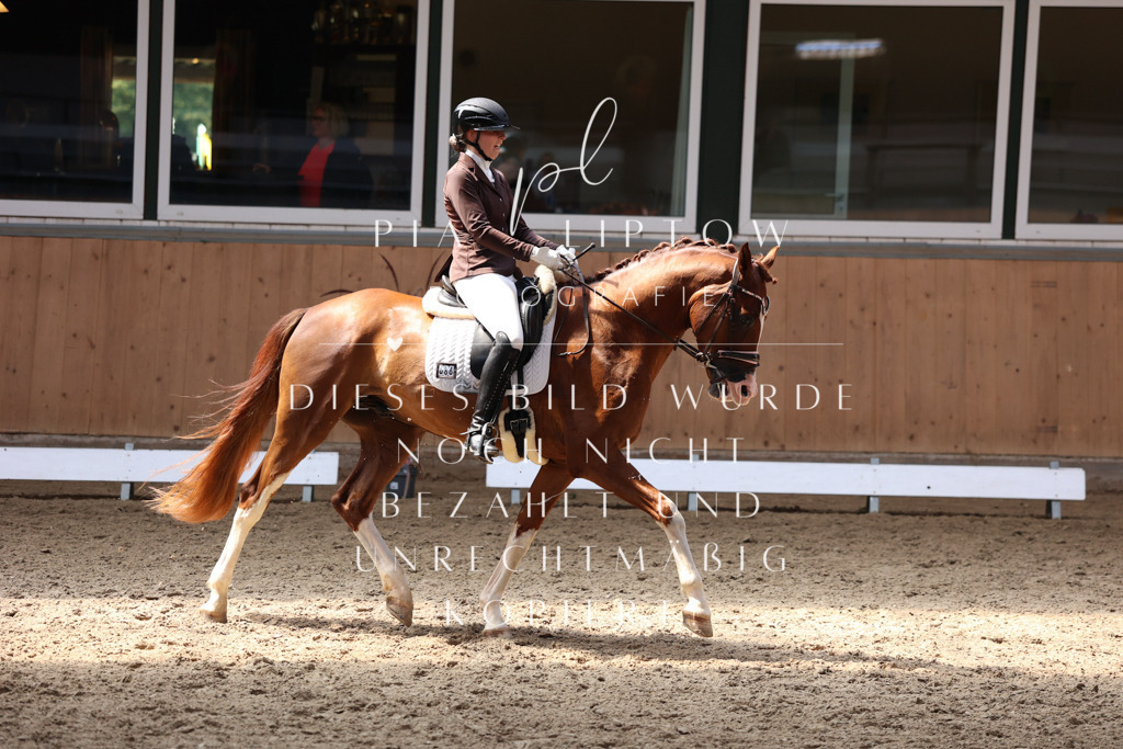 IMGM8640 | pl-fotografie