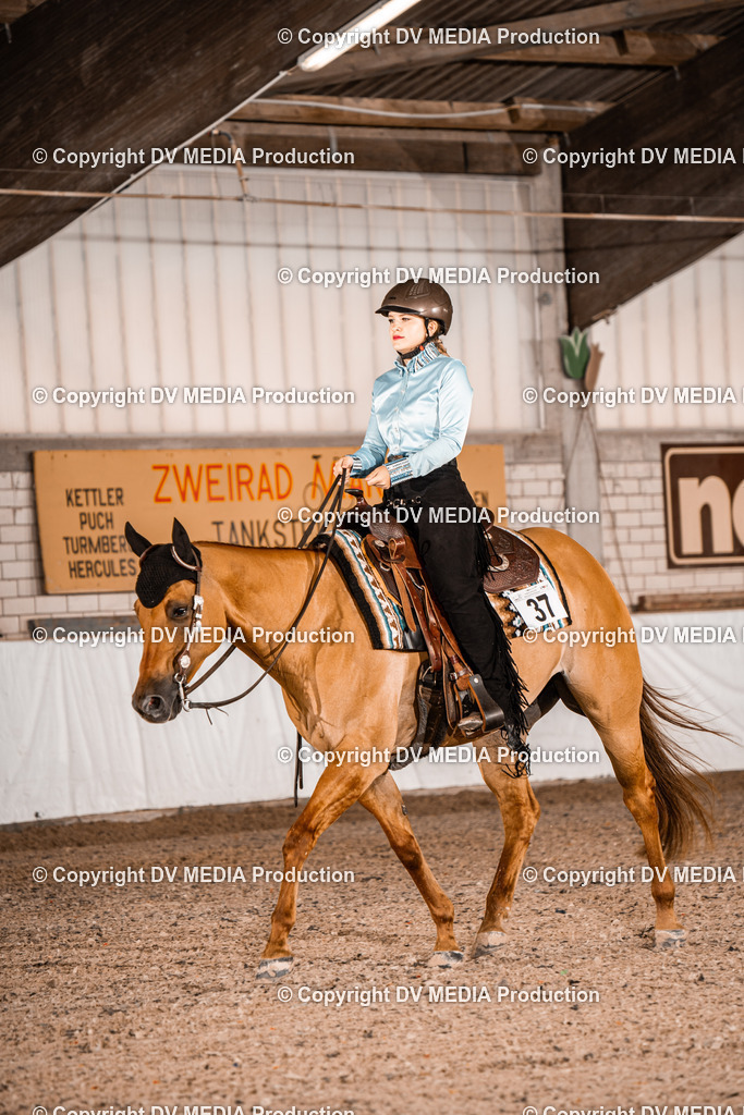 ZH300023 | dv-media-shop - Realisiert mit Pictrs.com