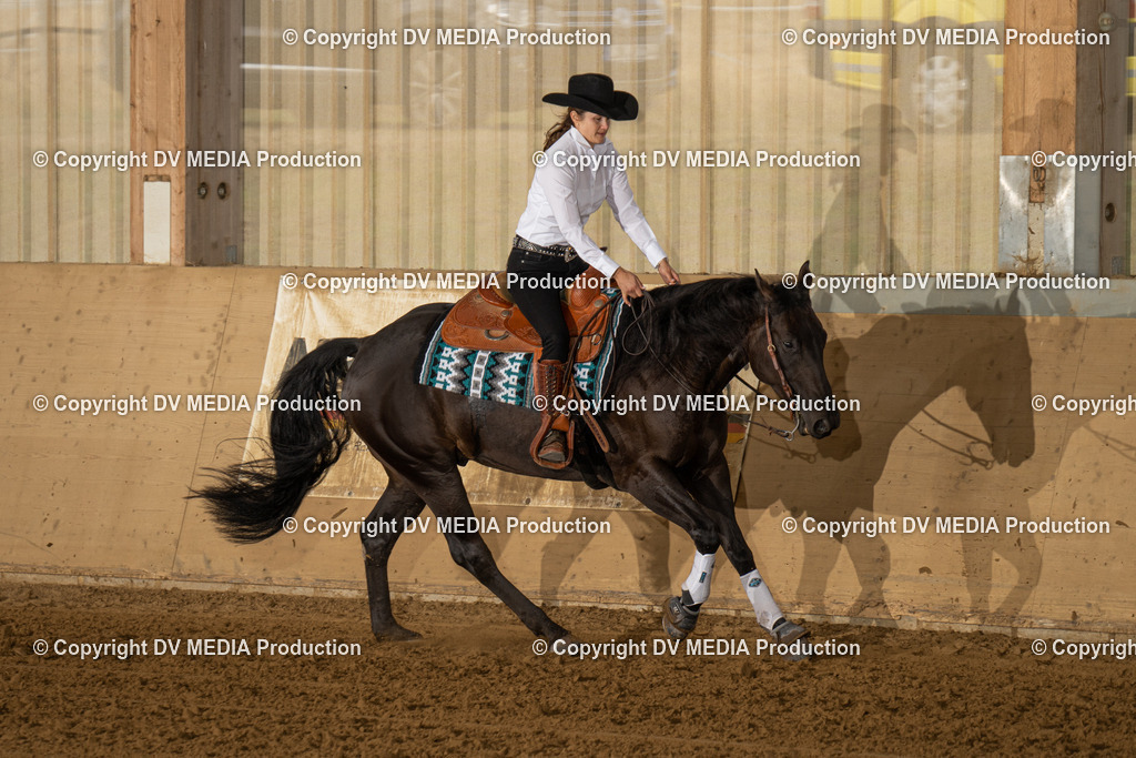 LAU01445 | dv-media-shop - Realisiert mit Pictrs.com