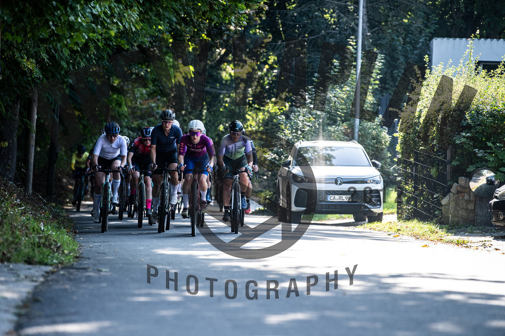 DKP-4481 | Drew Kaplan Photography