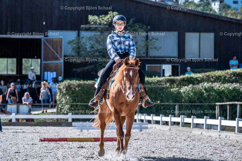 HOB09015 | BS-foto
