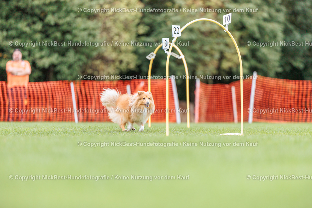 BSP Hoopers-H2 Tag2-2026-Nickbest-Hundefotografie-TuS Komet Arsten e.V.-3643 | Dein Hund! Dein Moment! Deine Erinnerungen! Hundefotografie in Bremen Blumenthal. Ich fange die besonderen Momente deines Vierbeiners ein – ob Indoor mit Blitzanlage oder in der freien Natur. Sicher dir dein Moment und dein Termin für eure Erinnerungen.