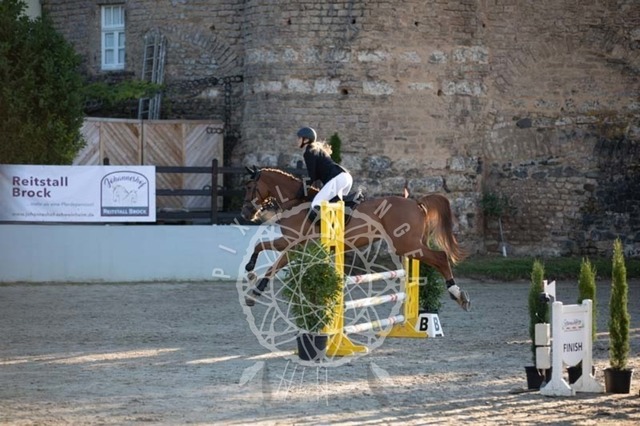 2B4A0038 | pixelfaenger - Realisiert mit Pictrs.com