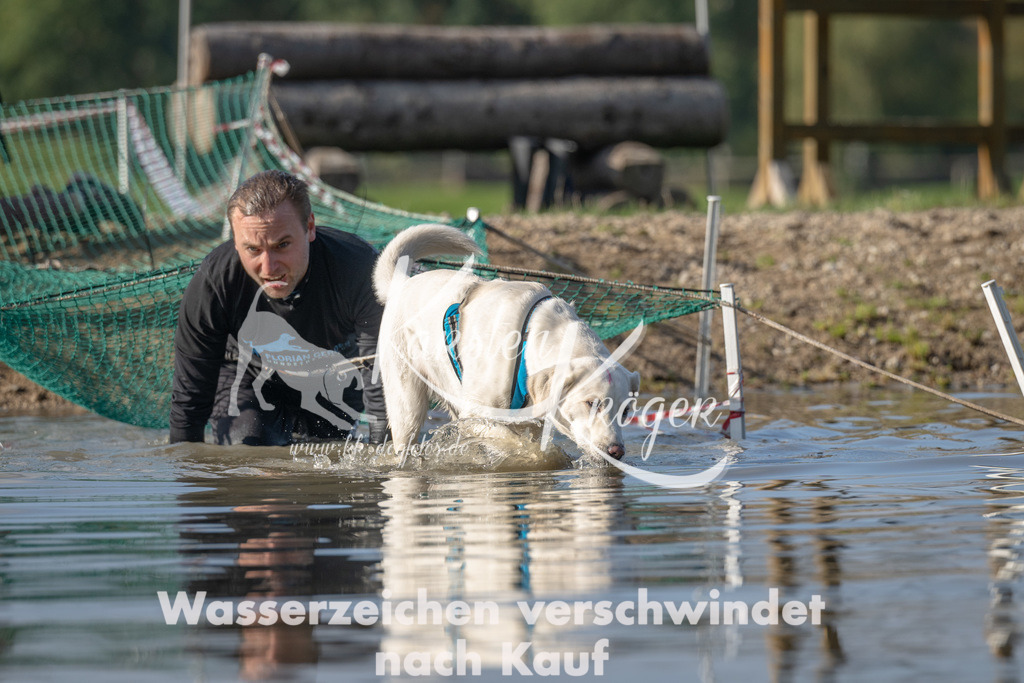 1116_ZZ92082 | kk-dogfotos