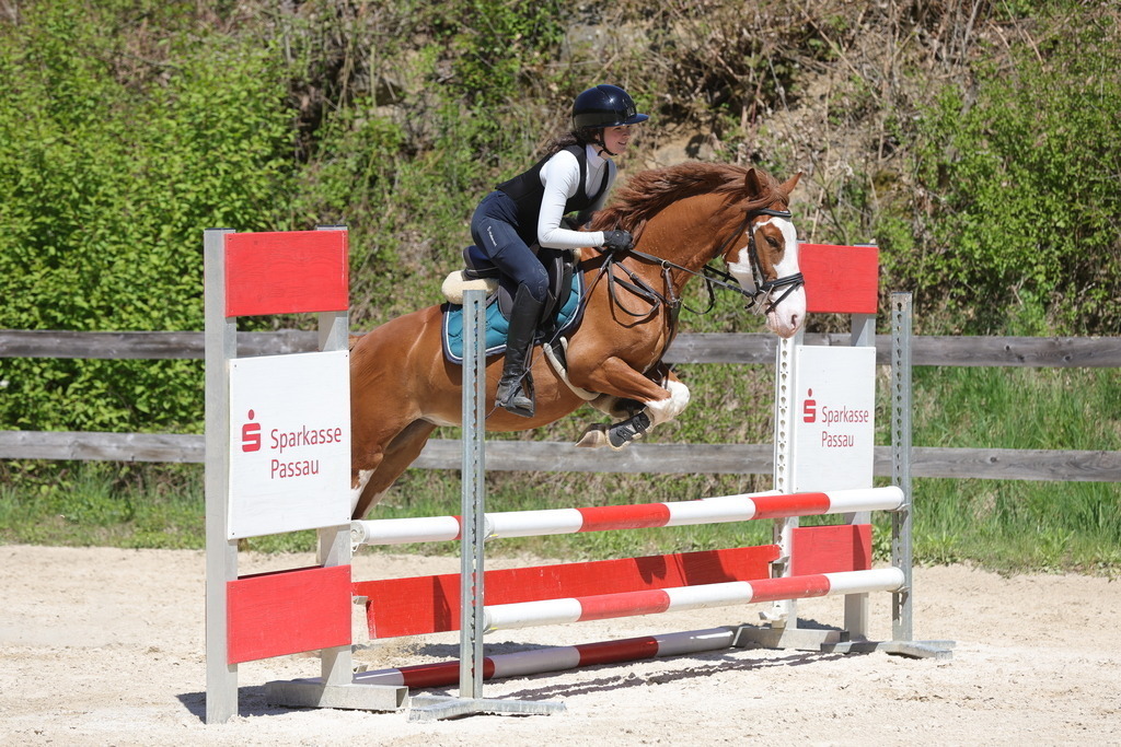 0P6A8851 | Willkommen bei Brunnmayr - Design & Fotografie – Ihrem Spezialisten für Reitturniere und Pferdeveranstaltungen in Oberösterreich, Salzburg und Bayern! Seit über 17 Jahren sind wir leidenschaftlich dabei.