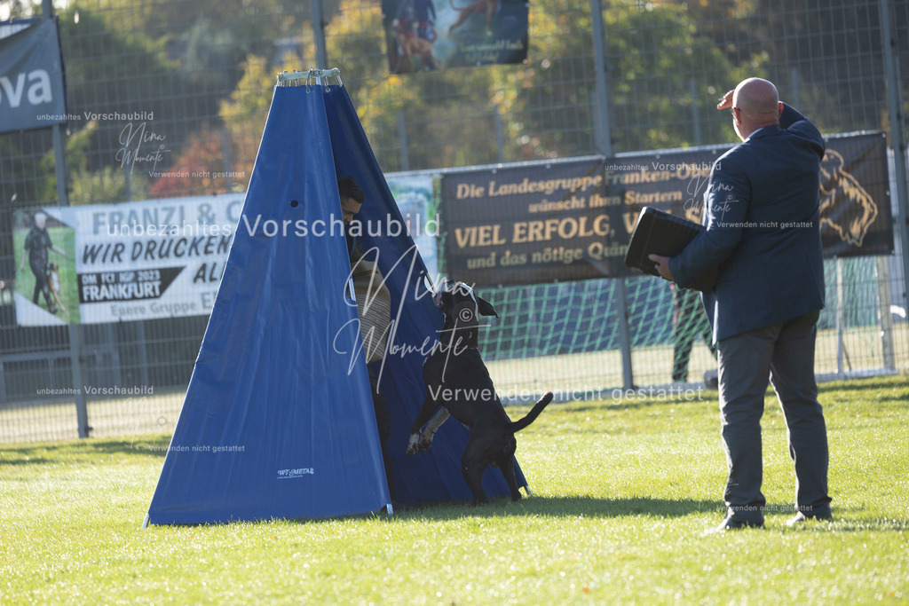 _16A6296 | Einzigartige Fotos von Hunden & Menschen –Actionfotos, Portraits, Vereinsaufnahmen & Paarshootings – authentisch, lebendig & mit Herz.