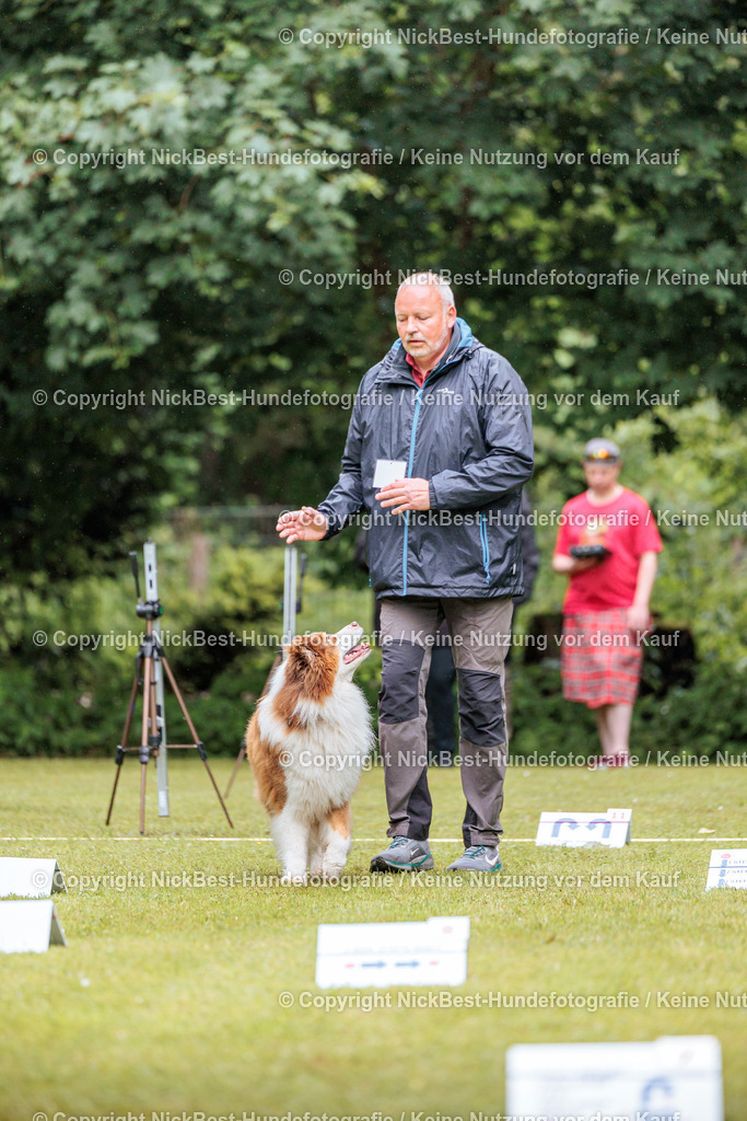 RO-Blumenthal-2026-Nickbest-Hundefotografie-0697 | Dein Hund! Dein Moment! Deine Erinnerungen! Hundefotografie in Bremen Blumenthal. Ich fange die besonderen Momente deines Vierbeiners ein – ob Indoor mit Blitzanlage oder in der freien Natur. Sicher dir dein Moment und dein Termin für eure Erinnerungen.