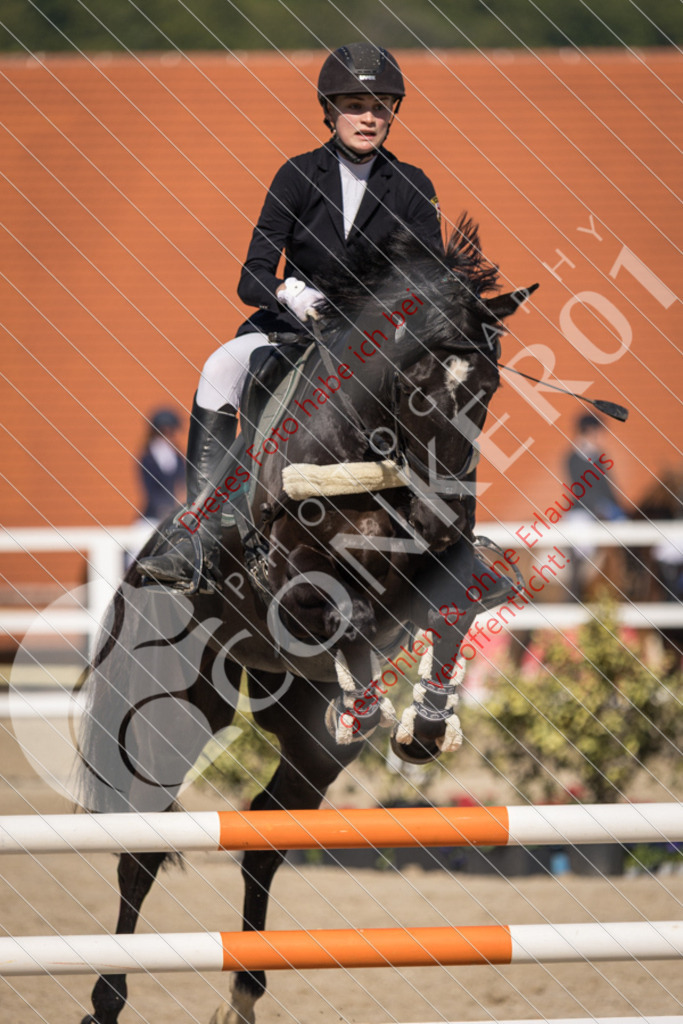 IMG_3620 | Sport-, Event- und Tierfotos in Profiqualität. Einfach auswählen, bestellen und herunterladen. Dein Moment – perfekt festgehalten.