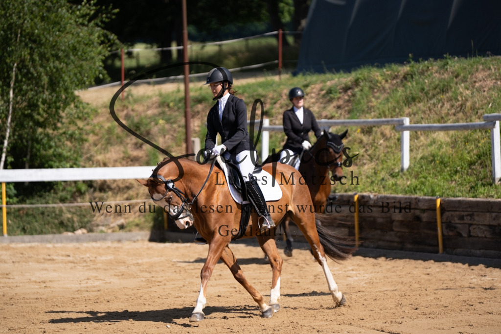 A7V07820 | Turnier/Reitfotograf