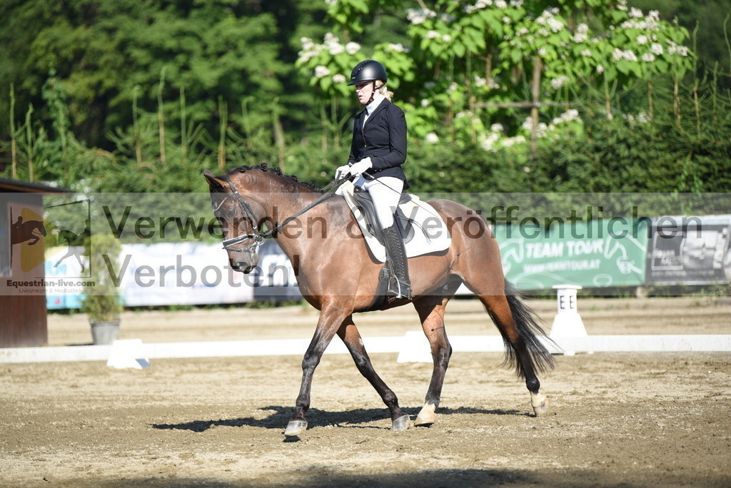 DSC_7152 | equestrian-live-com