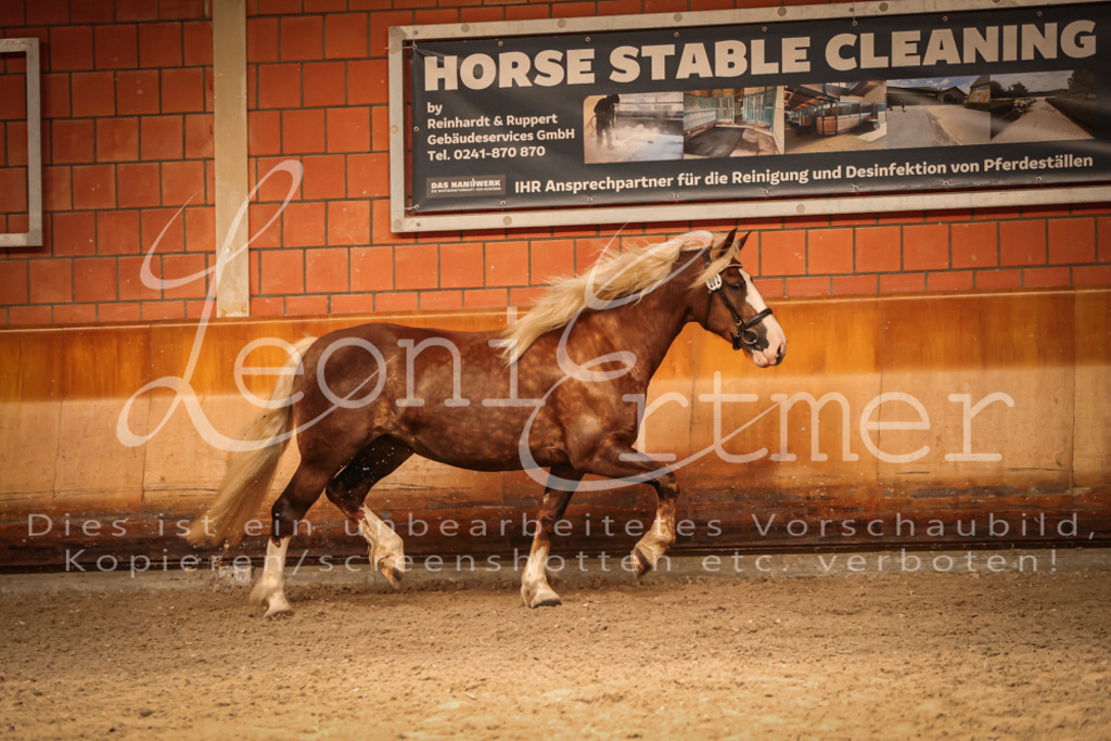SaFL00459 | Leoni Ertmer Photography - Realisiert mit Pictrs.com