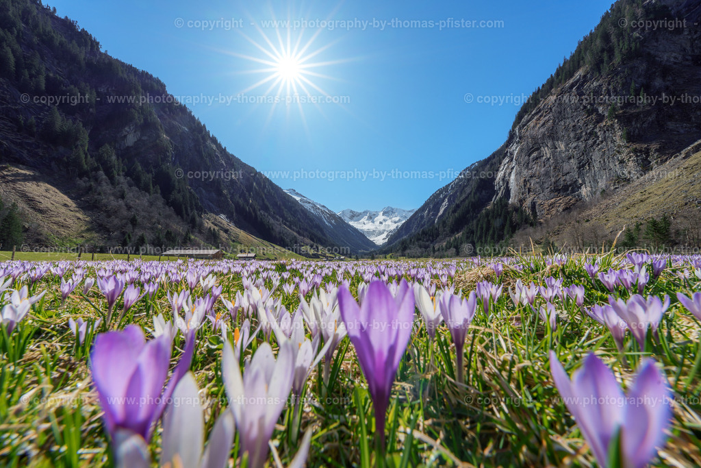  Stilluptal Frühling copyright  Thomas Pfister-8 | PHOTOGRAPHY BY THOMAS PFISTER