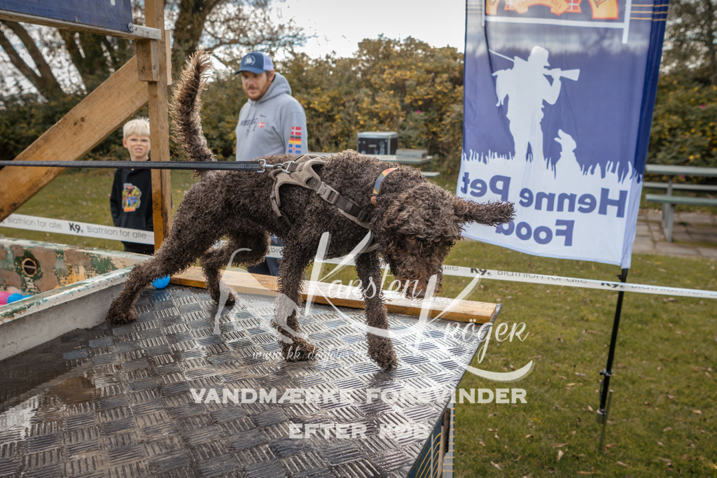 1338_ZZ91726-2 | kk-dogfotos