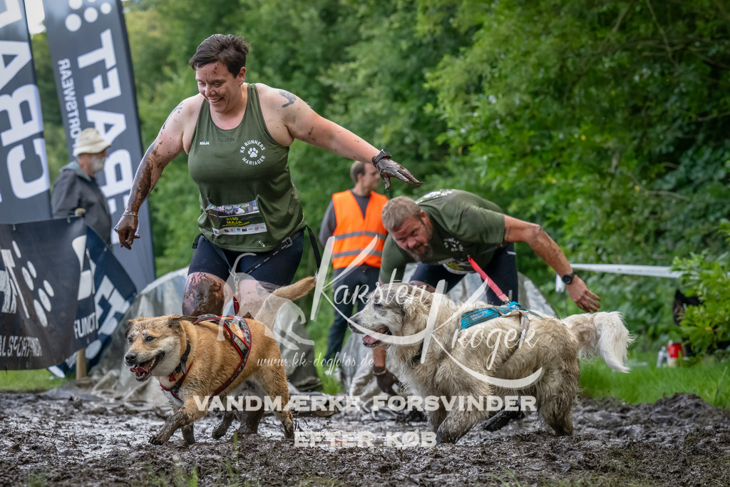 1154_ZZ90198-Bearbeitet | kk-dogfotos