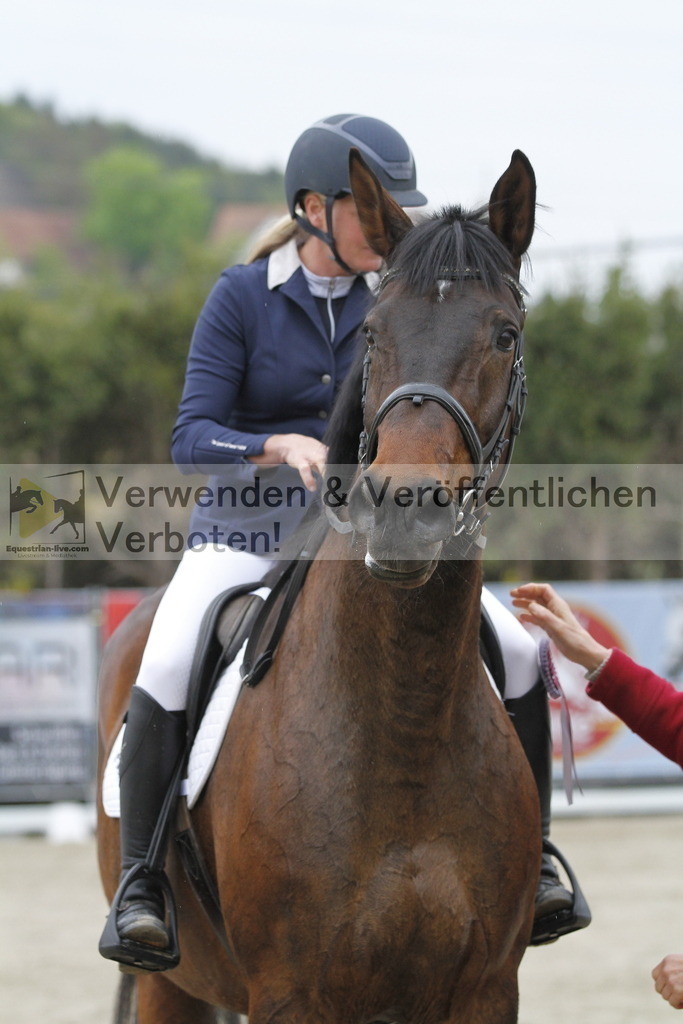 _MG_3127 | equestrian-live-com