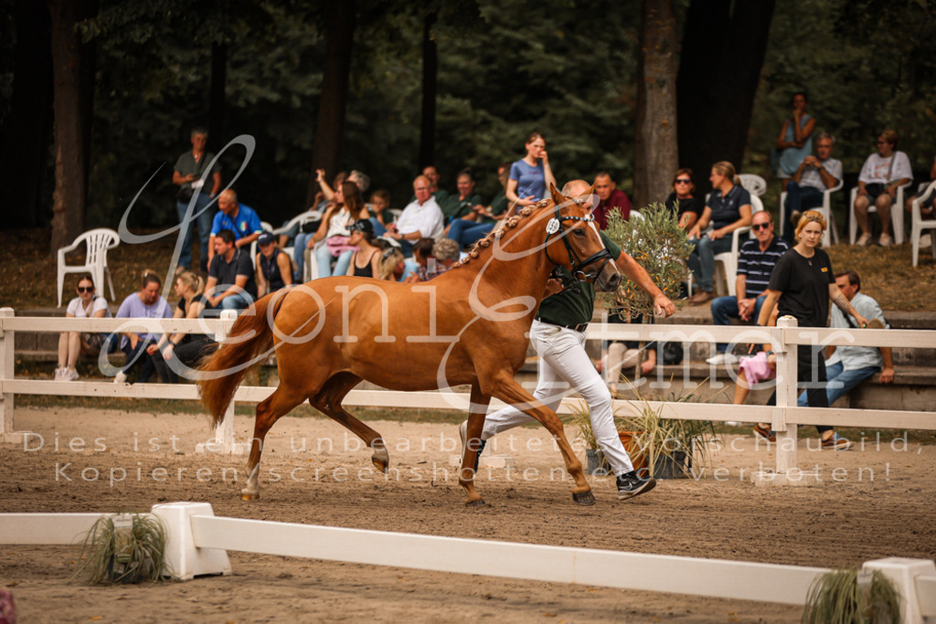 10.So00062 | Leoni Ertmer Photography - Realisiert mit Pictrs.com