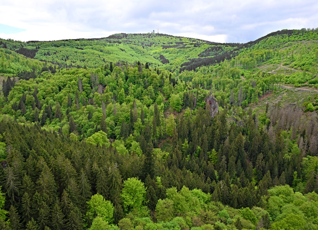 Inselsbergblick01 | lucisnaturbilder - Realisiert mit Pictrs.com