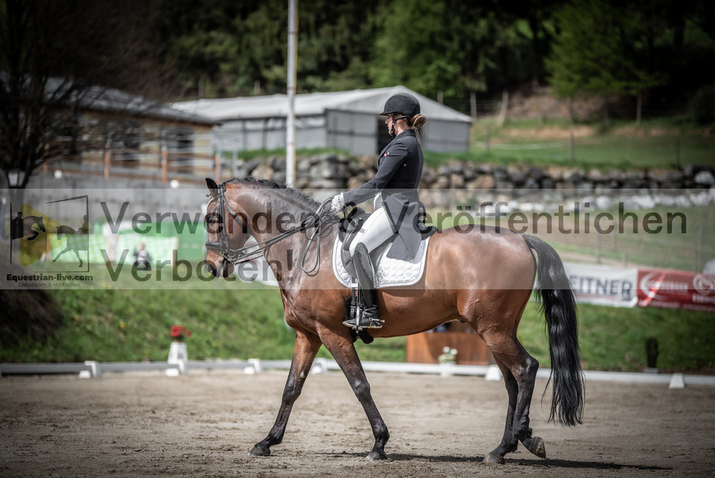 DSC_2451 | equestrian-live-com