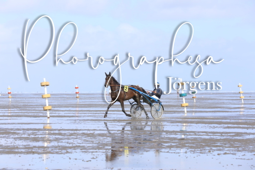 IMG_8067 | photographesa-joergens - Realisiert mit Pictrs.com