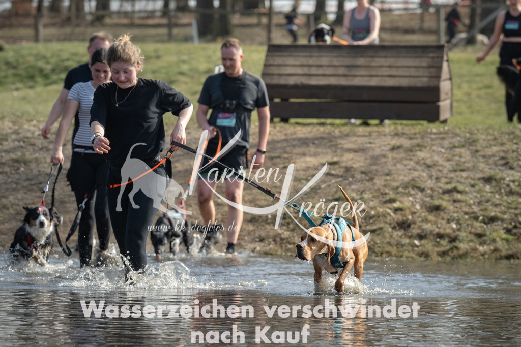1257_ZZ93164 | kk-dogfotos
