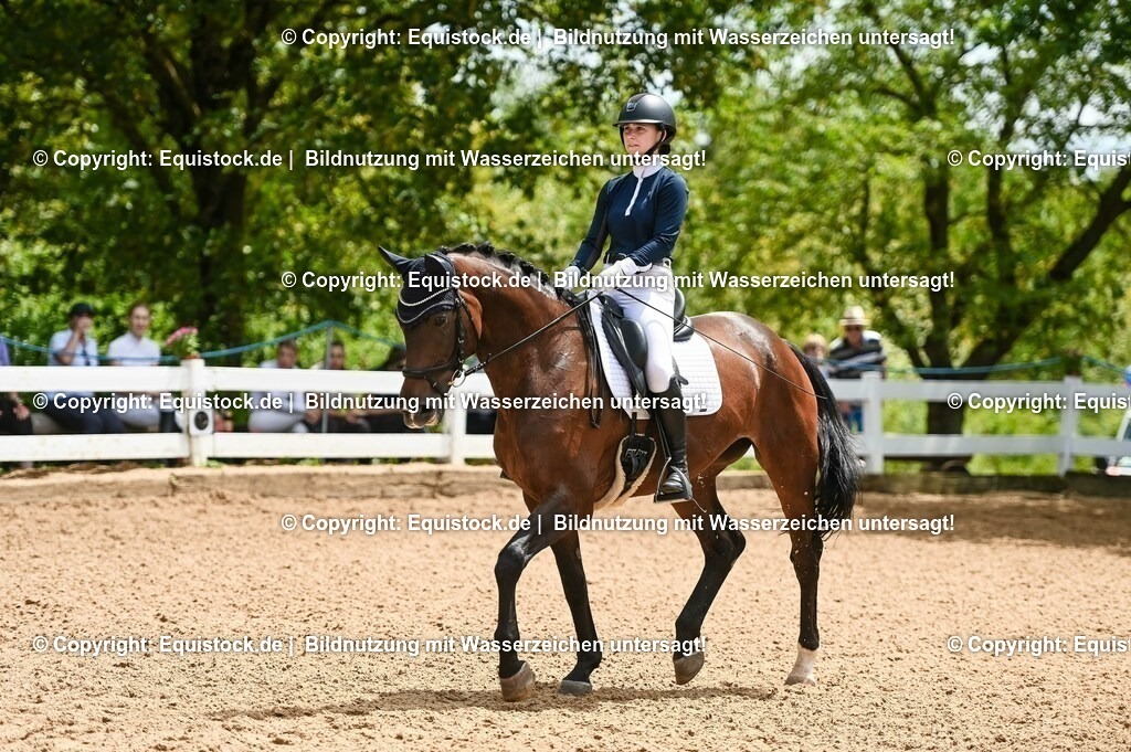 20230716_03_Dressurprfg. Kl.L - Tr._0254 | equistock