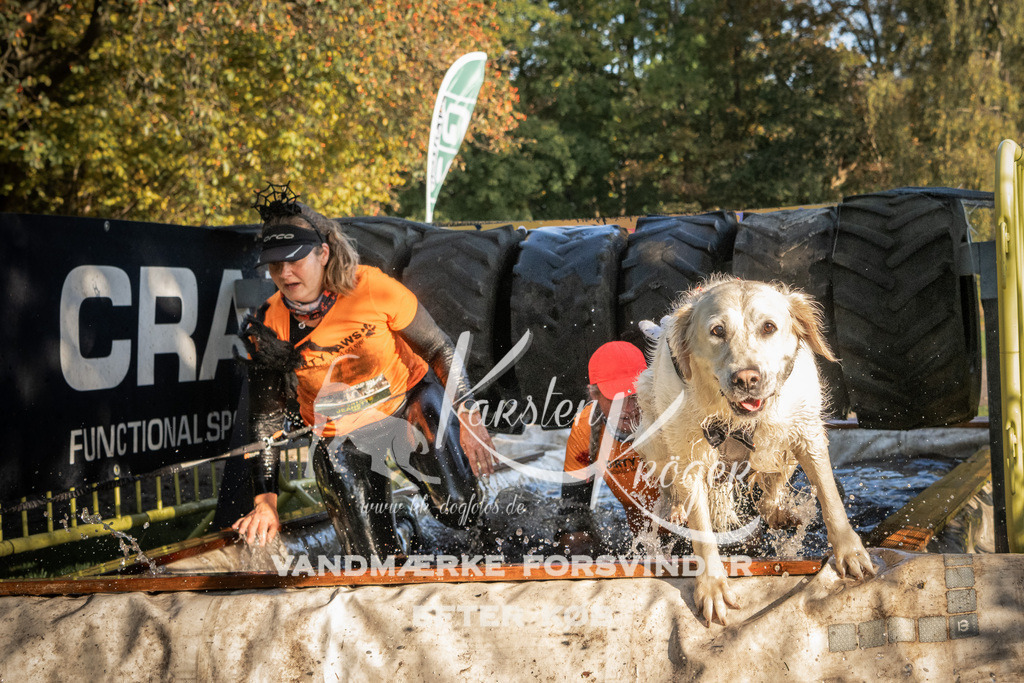 0953_ZZ92180 | kk-dogfotos