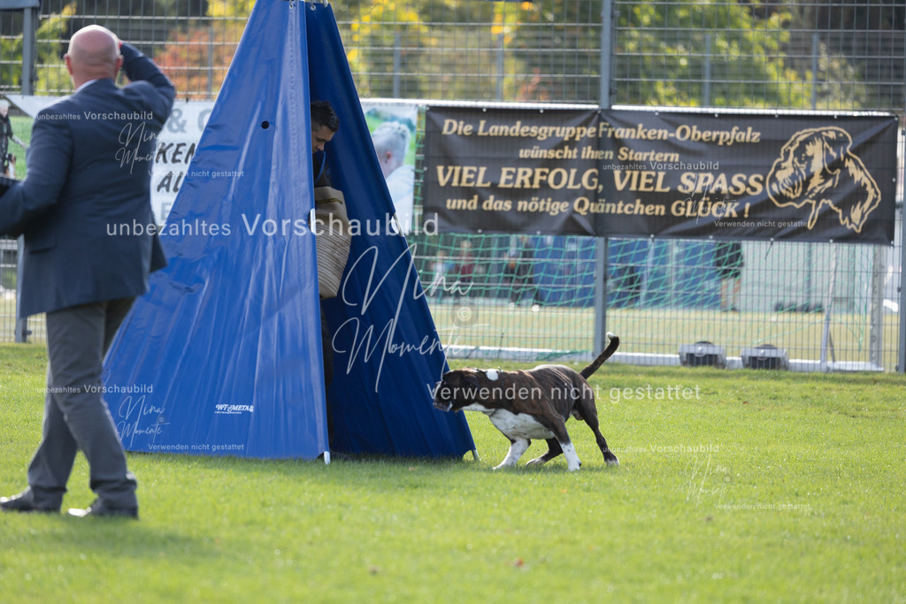 _16A6480 | Einzigartige Fotos von Hunden & Menschen –Actionfotos, Portraits, Vereinsaufnahmen & Paarshootings – authentisch, lebendig & mit Herz.