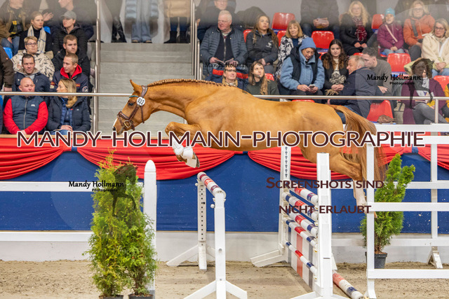 KWEDR (21 von 496) | mandyhollmannphotographie