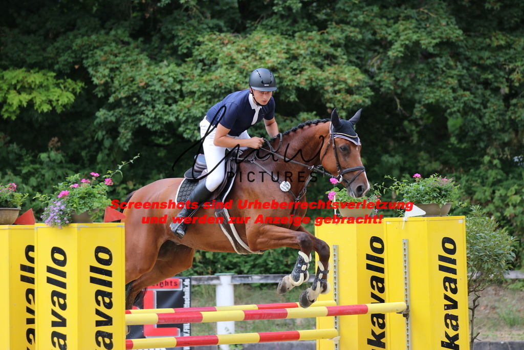 IMG_0024 | lmwpictures - Realisiert mit Pictrs.com