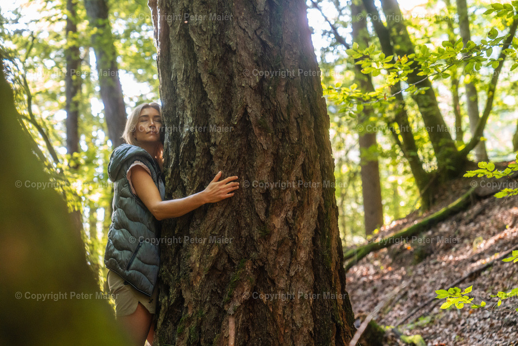 Talboden_Osttirol_Erlebnisraum_Wald_23_Peter_Maier-665 | piet_flosse