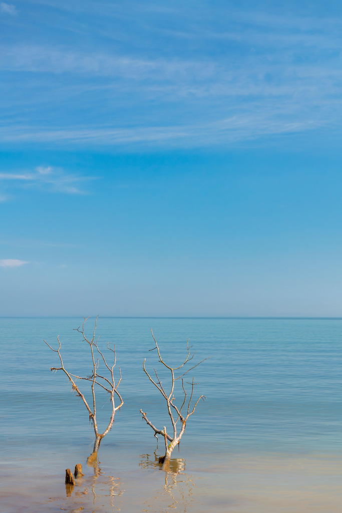 2025_04_16_TRAVEMUENDE_MCP8029 | Hochwertig gedruckte Fotografien für die Wand, als Kalender und zum Verschenken. Hamburg & Norddeutschland und überall wo ich mit der Kamera unterwegs war.