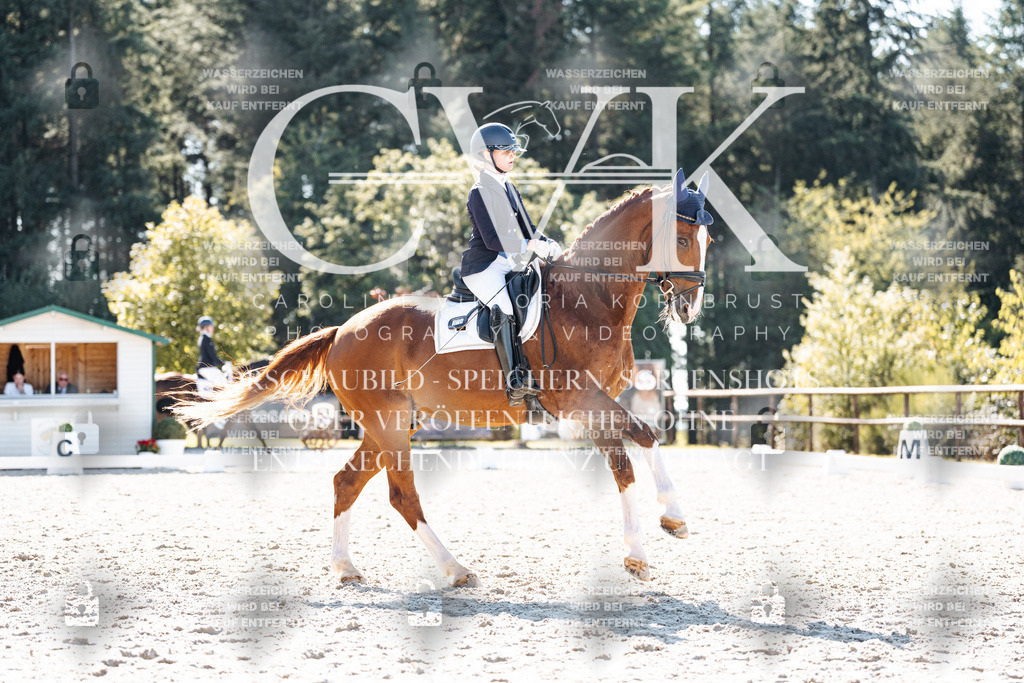 CK905512 | Turnierfotografie Pferdefotografie Trier Rheinland-Pfalz Pferdesport Reitsport Tierfotografie Sportfotografie Pferdevideo Pferdevideografie Equestrianvideography equestrianphotography  - Realisiert mit Pictrs.com