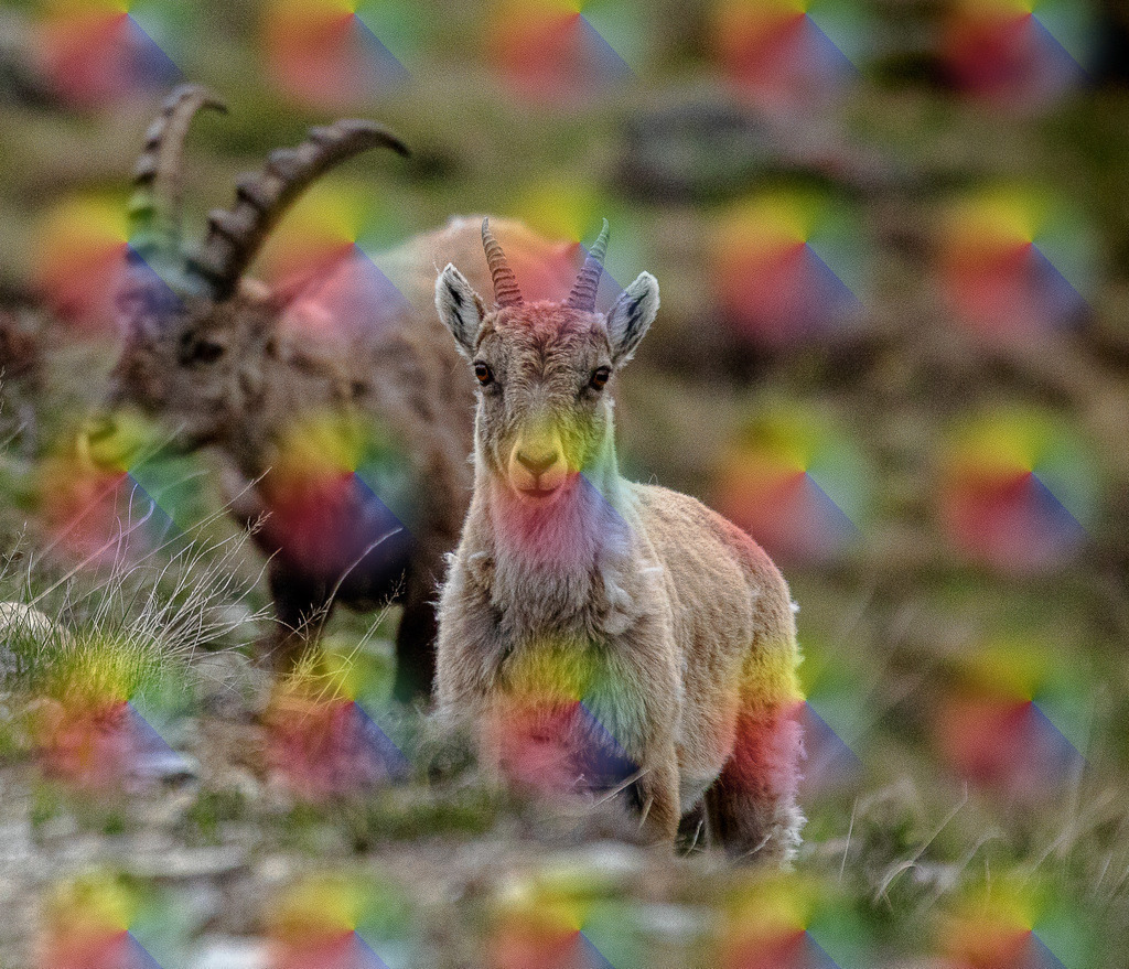 20230602-20230602-7J9A6144 | FineArtPrint, Hahnemühle, FeeGalerie, Fee Galerie, Fotokunst, Fotografie, Canonphotography, Bergfoto, Matterhorn, Rimpfischhorn, Allalinhorn, Saas-Fee, Wallis, Valais, Switzerland, Bergfotografie