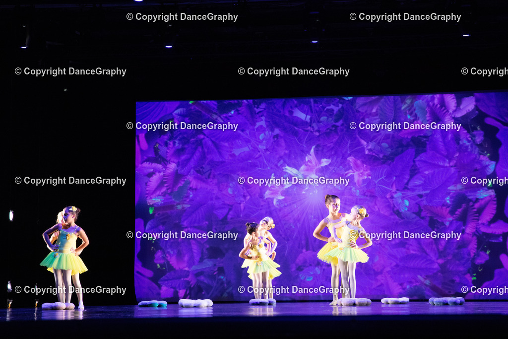 GPHY6246 | DanceGraphy - Realisiert mit Pictrs.com