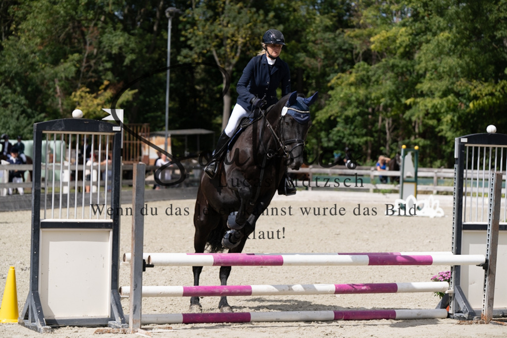 A7V07401 | Turnier/Reitfotograf