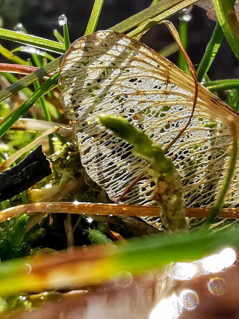 PSX_20230321_222955 | mtkfoto_ - Realisiert mit Pictrs.com